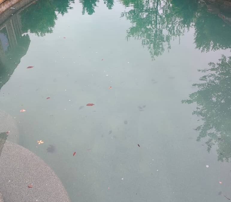 Trophy Club Pool Cleaning Services | Great quality cleaning services