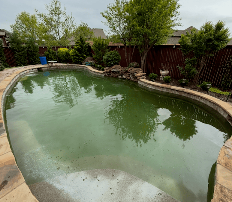 Pool Cleaning Services Trophy Club | We are the best cleaners