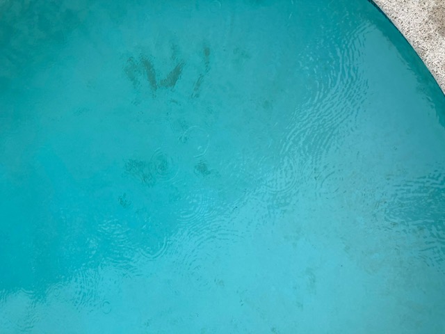 Pool Cleaning Services Trophy Club | gorgeous pool cleaning