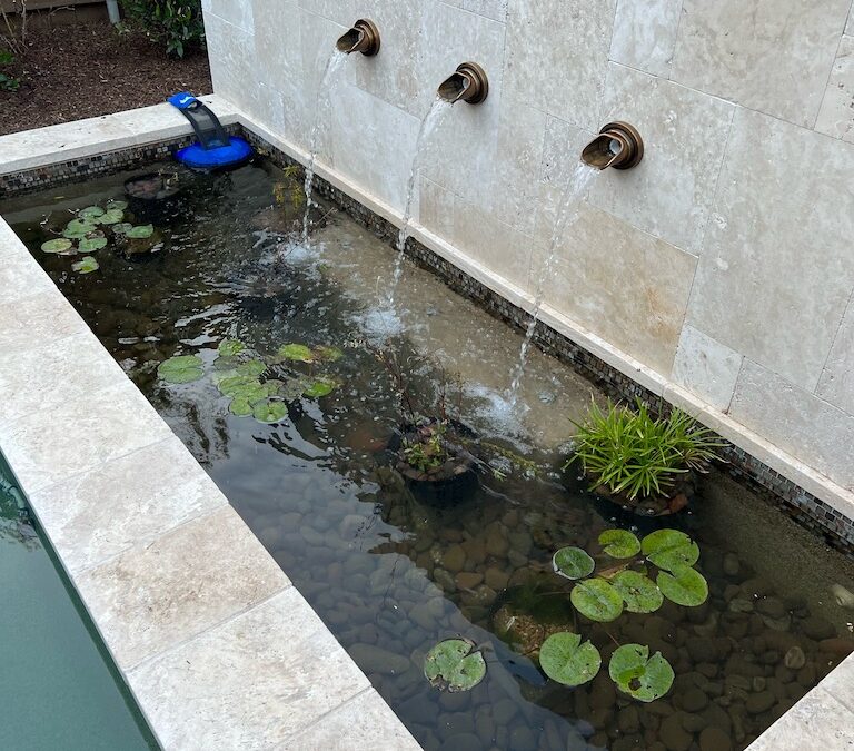 Trophy Club Pool Cleaning Services | get your incredible pool here