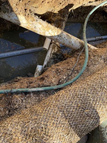 433 Pool Cleaning Service Trophy Club, TX