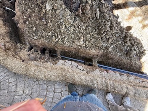 434 Pool Cleaning Service Trophy Club, TX