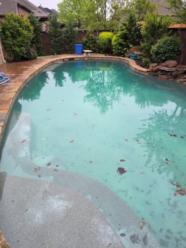 486 Pool Cleaning Services Trophy Club, TX