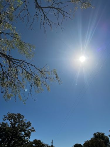 Pool Cleaning Services Trophy Club, TX 125