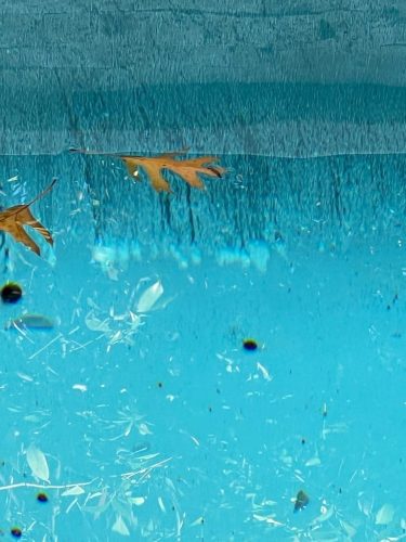 Pool Cleaning Services Trophy Club, TX 160 Image4