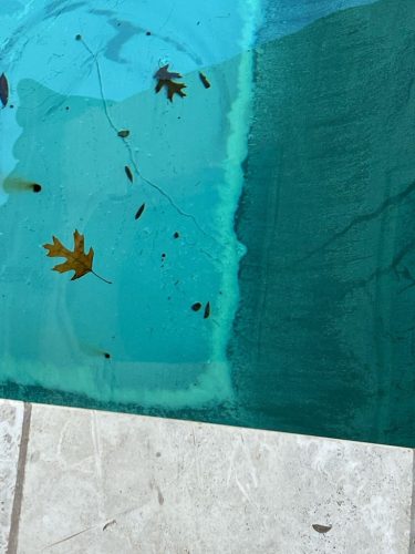 Pool Cleaning Services Trophy Club, TX 162 Image3