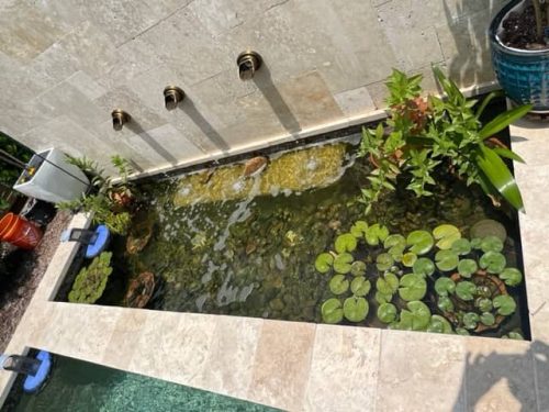 Pool Cleaning Services Trophy Club, TX 20 Image13