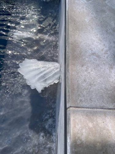 Pool Cleaning Services Trophy Club, TX 221