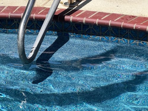 Pool Cleaning Services Trophy Club, TX 288