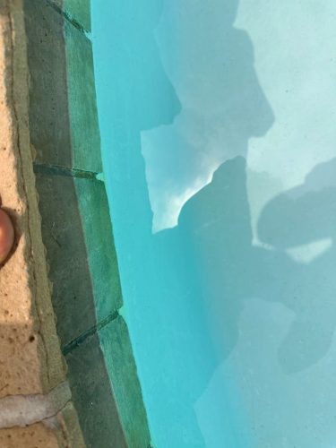 Pool Cleaning Services Trophy Club, TX 317