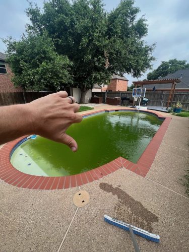 Pool Cleaning Services Trophy Club, TX 324