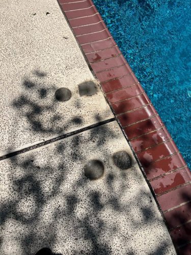 Pool Cleaning Services Trophy Club, TX 336