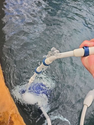 Pool Cleaning Services Trophy Club, TX 347