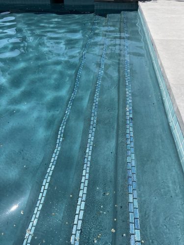 Pool Cleaning Services Trophy Club TX 74