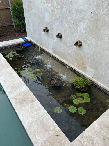 Pool Cleaning Services Trophy Club, TX WeimerWorks Stock Photo4