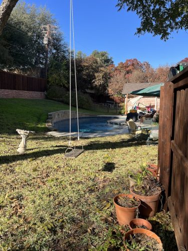 Trophy Club, TX Pool Cleaning Services 184