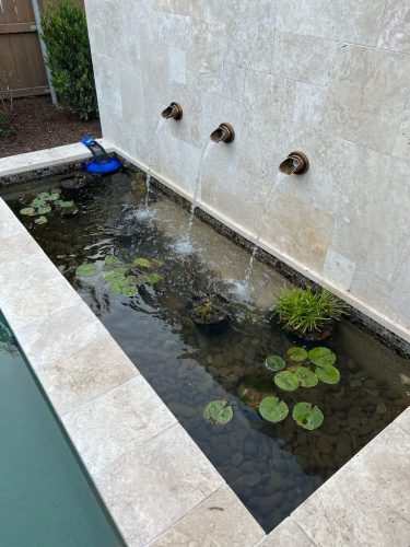 Trophy Club TX Pool Cleaning Services 58 WeimerWorks Stock Photo4