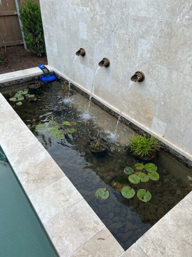 Trophy Club Pool Cleaning Services WeimerWorks Stock Photo4