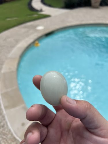 Pool Cleaning Services Trophy Club 10