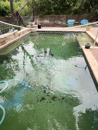 Pool Cleaning Services Trophy Club 103