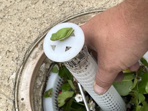 Pool Cleaning Services Trophy Club 107