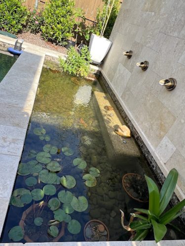 Pool Cleaning Services Trophy Club 3