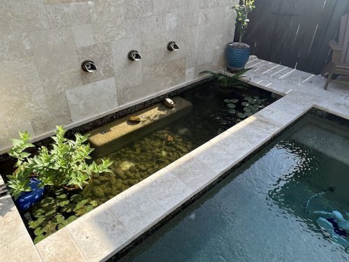 Pool Cleaning Services Trophy Club 7