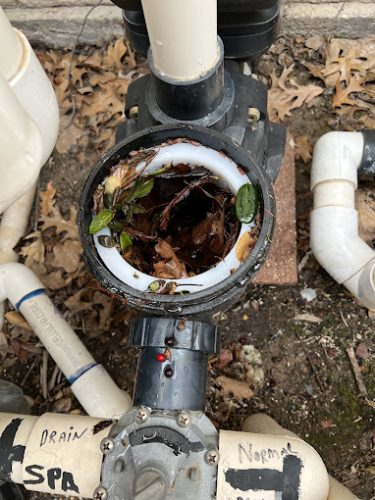 Pool Cleaning Services Trophy Club March 10