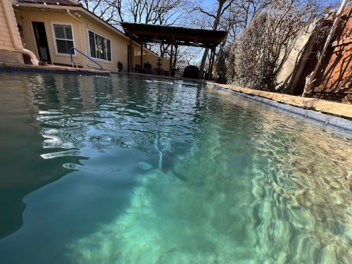 Pool Cleaning Services Trophy Club March 25