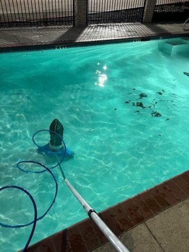 Pool Cleaning Services Trophy Club Tx 207