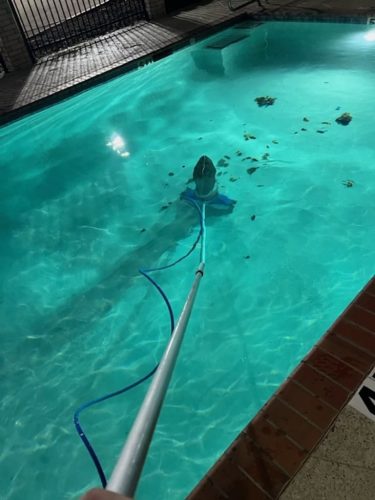 Pool Cleaning Services Trophy Club Tx 209