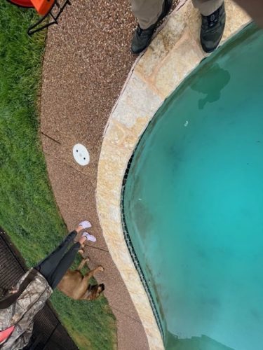 Pool Cleaning Services Trophy Club Tx 216