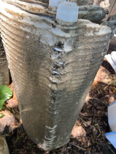 Pool Cleaning Trophy Club Tx 330