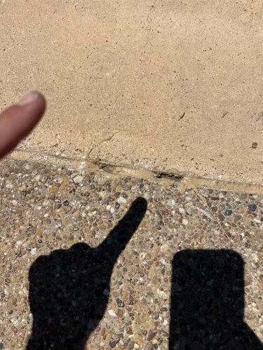 Pool Cleaning Trophy Club Tx 335