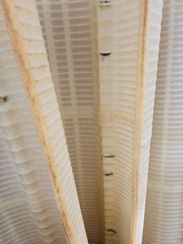 Trophy Club Tx Pool Cleaning 349