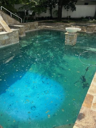 Trophy Club Tx Pool Cleaning 351