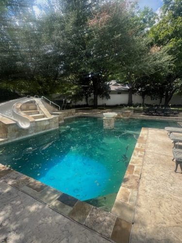 Trophy Club Tx Pool Cleaning 352