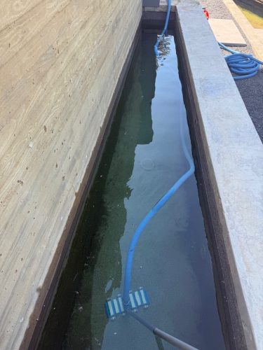 677-Pool-Cleaning-Trophy-Club-Texas-image-1