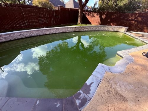 695-Pool-Cleaning-Trophy-Club-Texas