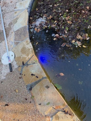 709-Pool-Cleaning-Trophy-Club-Texas