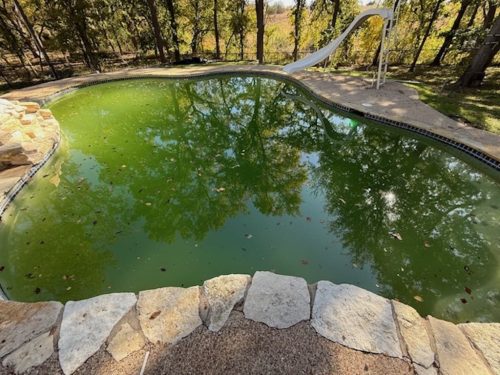 710-Pool-Cleaning-Trophy-Club-Texas