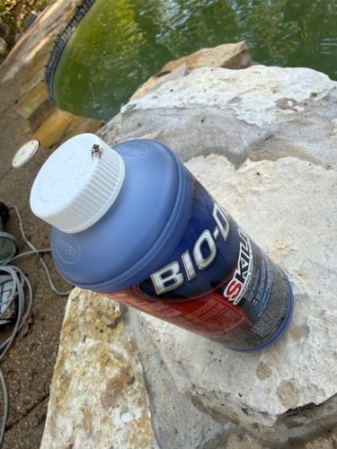 713-Pool-Cleaning-Trophy-Club-Texas