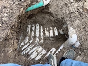 730-Pool-Cleaning-Trophy-Club-Texas-image7