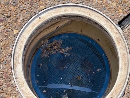 Pool Cleaning Services Trophy Club, TX