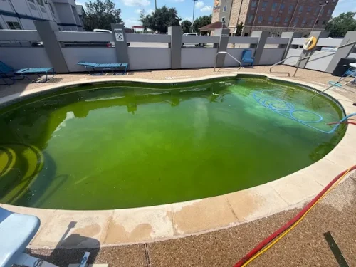 Pool Cleaning Services Trophy Club, TX